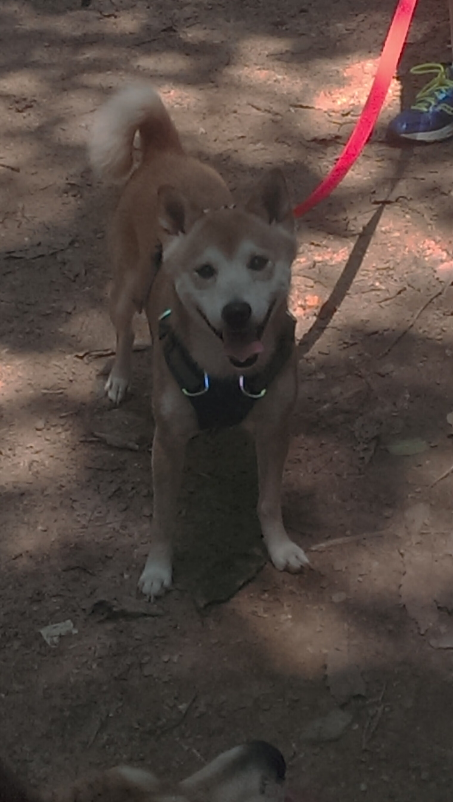 【台球比赛规则全面解析】罚分、犯规以及最新规则变化，台球处罚规则